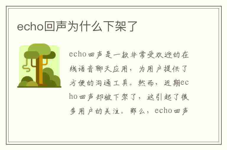 echo回声为什么下架了(echo回声官网)